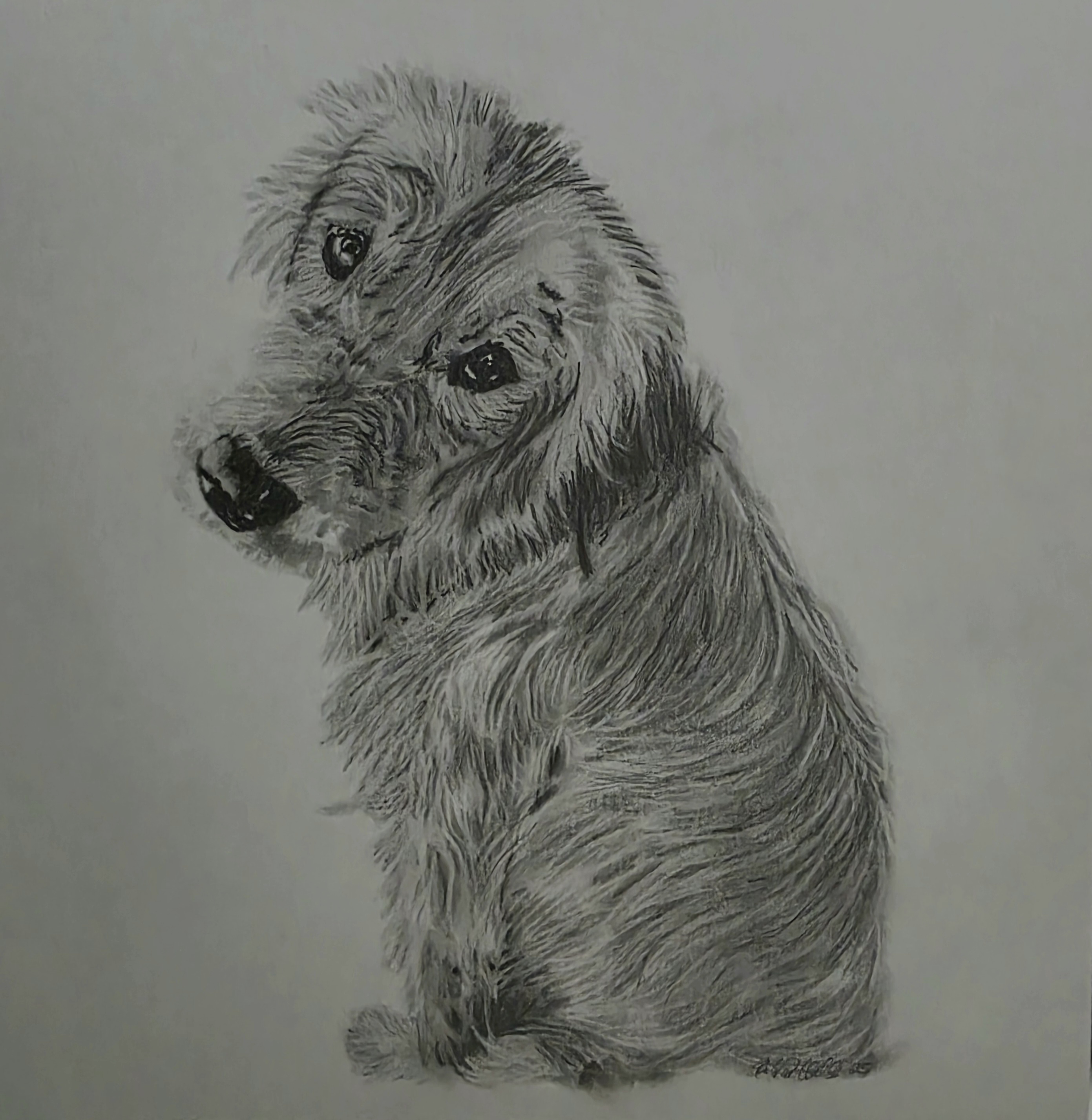 Graphite Portrait Example